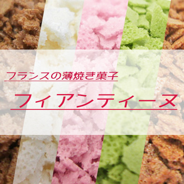 フィアンティーヌミニ