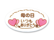 母の日F10