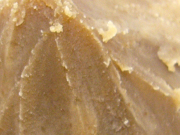 yakiguripastenakami