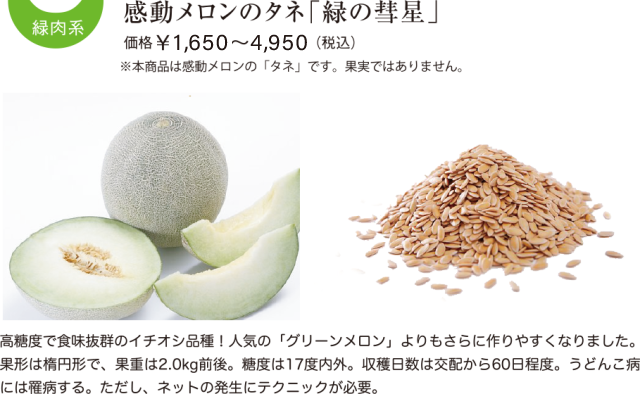 緑の彗星