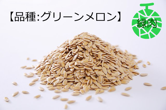 タネ　【グリーンメロン】（緑肉系）100粒
