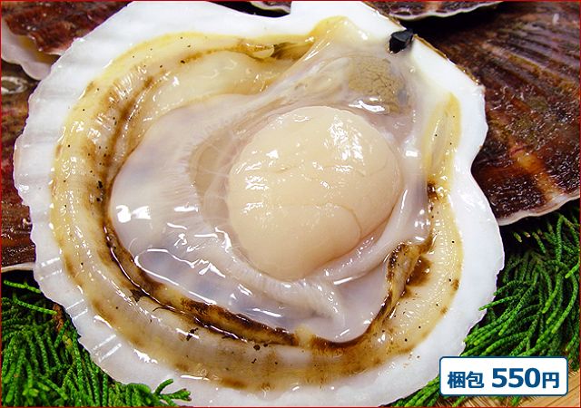 2025-91 道内産　天然活ホタテ（1枚）