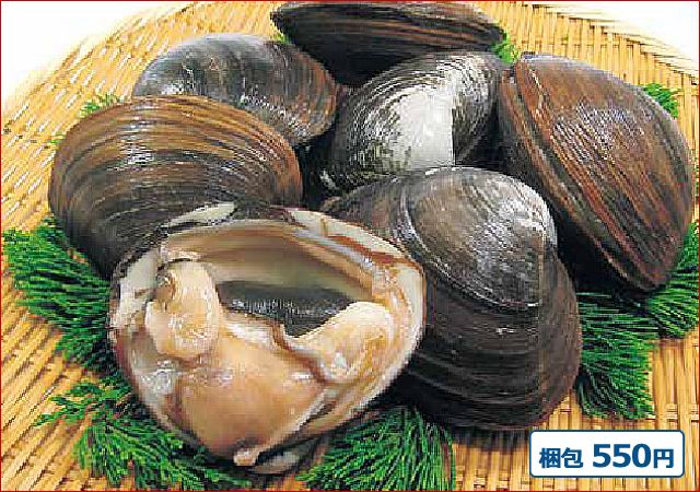 2025-92 活ほっき（1枚）