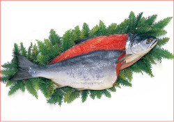 2025-97 【甘口】紅鮭1尾（ロシア産・約2.2kg）