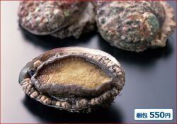 2025-90 活あわび（約80g～100g・1ヶ）