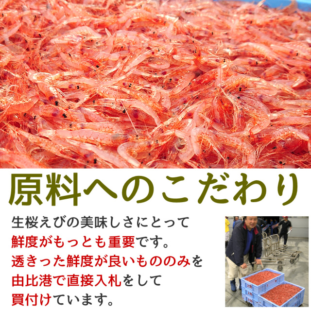 ひげ付き生桜えび100g 駿河湾産 生 お刺身 由比産