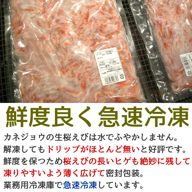 ひげ付き生桜えび100g 駿河湾産 生 お刺身 由比産