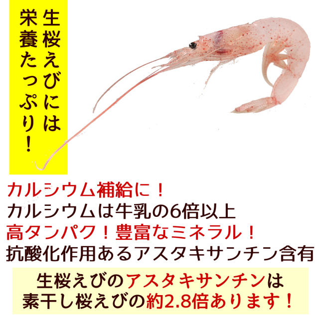ひげ付き生桜えび100g 駿河湾産 生 お刺身 由比産