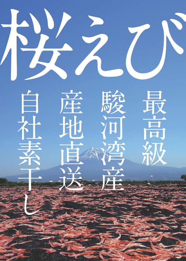 桜えび産地直送