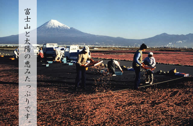 富士山と太陽の恵みたっぷりです。