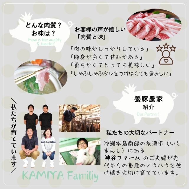 専用出品です　食用ほおずき　トマチロコサックパイナップル　2kg 専用出品です 食用ほおずきトマチロコサックパイナップル 2kg