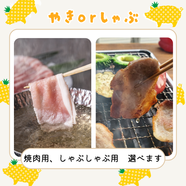 用途の選択