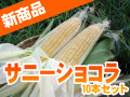 D-461 【送料無料】北海道朝もぎスイートコーン『サニーショコラ』