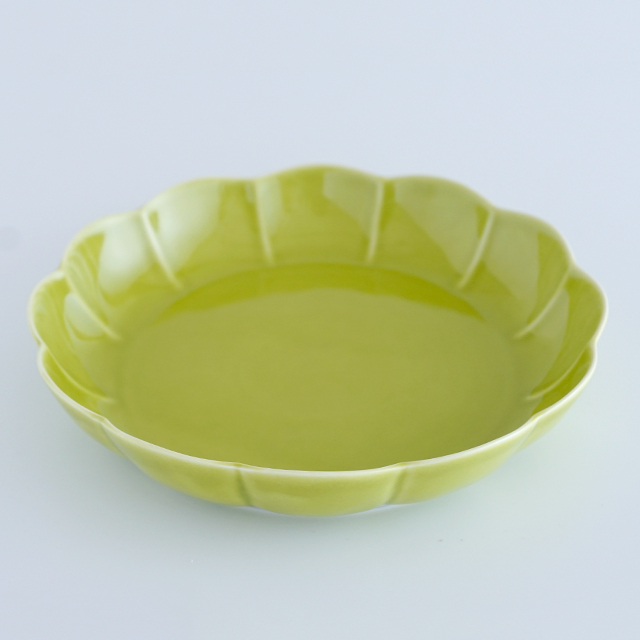 菊水 大型タイプ 実生 扁平 (親株約15cm) 鉢植えメルカリ便送料