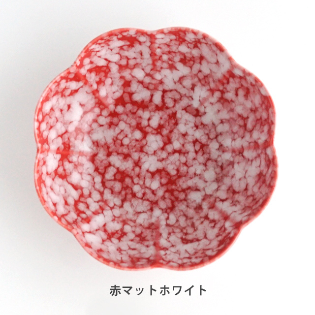 セール アウトレット 金善製陶所 菊 深皿