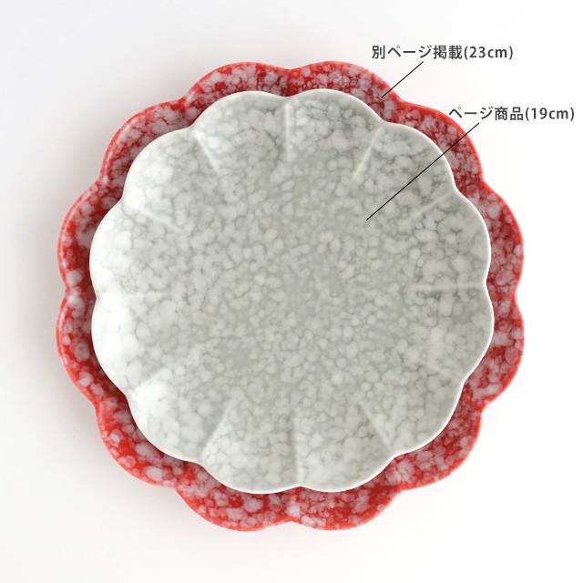 アウトレット] 菊割皿 19cm (4色)