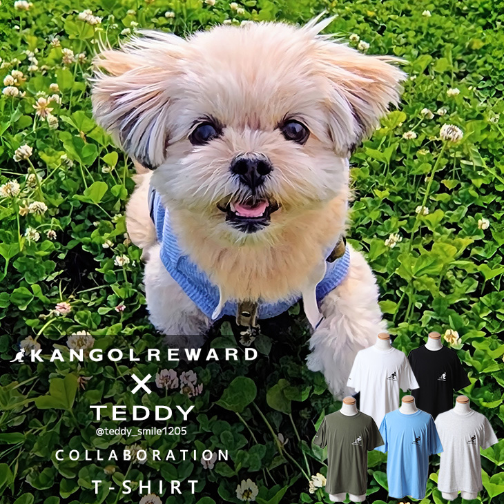 【完全受注生産】TEDDY×KANGOL REWARD コラボ企画！半袖Tシャツ