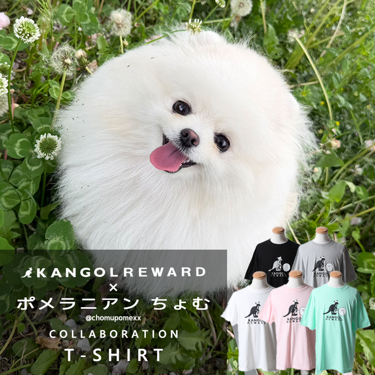 【完全受注生産】ポメラニアンちょむ×KANGOL REWARD コラボ企画！半袖Tシャツ