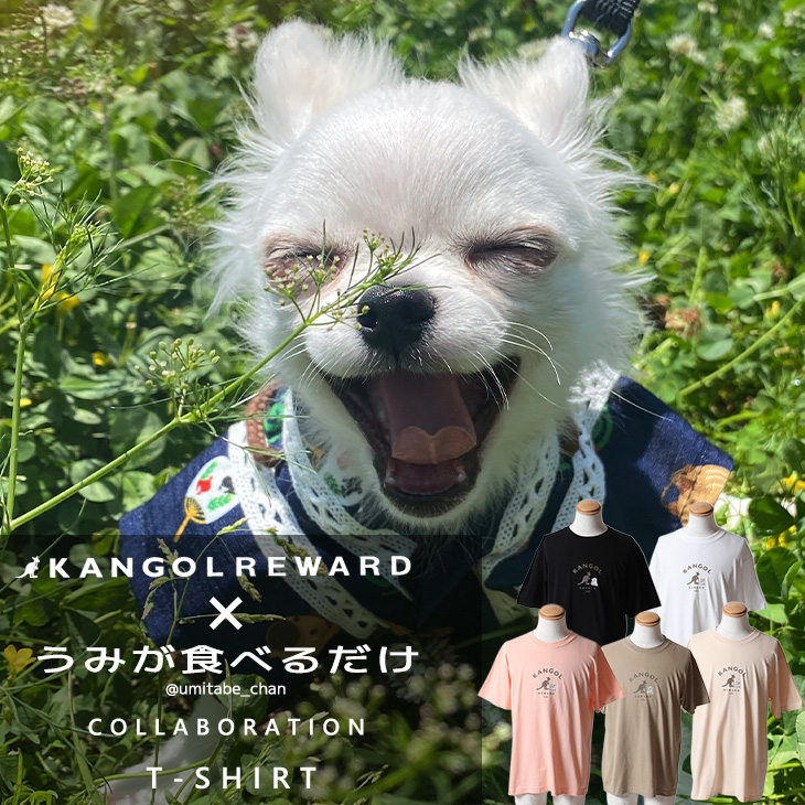 【完全受注生産】うみが食べるだけ×KANGOL REWARD コラボ企画！半袖Tシャツ