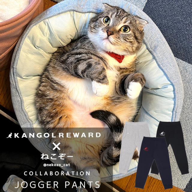 完全受注生産】ねこぞー×KANGOL REWARD コラボ企画！ジョガーパンツ