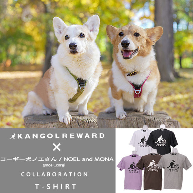 【完全受注生産】コーギー犬ノエさん / NOEL and MONA×KANGOL REWARD コラボ企画！半袖Tシャツ