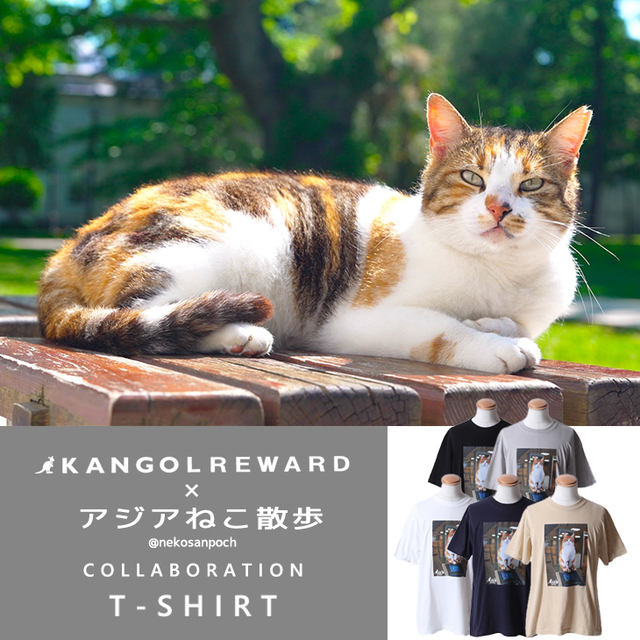 【完全受注生産】アジアねこ散歩×KANGOL REWARD コラボ企画！半袖Tシャツ