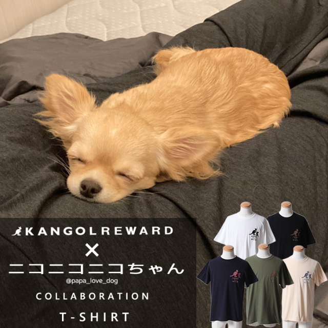 【完全受注生産】ニコニコニコちゃん×KANGOL REWARD コラボ企画！半袖Tシャツ