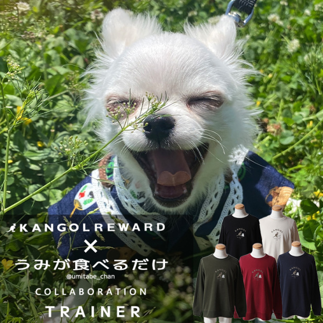 【完全受注生産】うみが食べるだけ×KANGOL REWARD コラボ企画！トレーナー