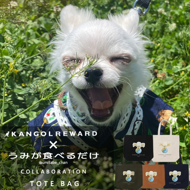 【完全受注生産】うみが食べるだけ×KANGOL REWARD コラボ企画！トートバッグ