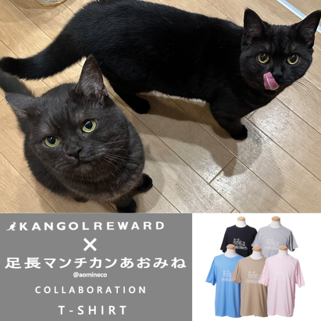【完全受注生産】足長マンチカンあおみね×KANGOL REWARD コラボ企画！半袖Tシャツ
