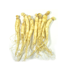 【時価】サムゲタン用・人参2年根2〜3個(約50g)