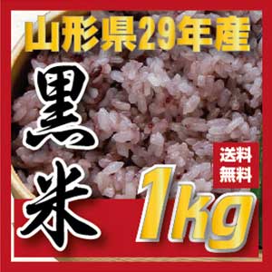 ★山形県29年産★黒米1kgメール便送料無料/ヘルシー！旨い！穀物で健康な食生活。/穀物/紫黒米/古代米/■韓国食品■ 1702