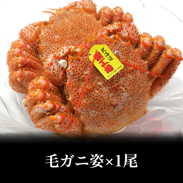 【冷凍】毛ガニ姿 ５００ｇ前後×1尾