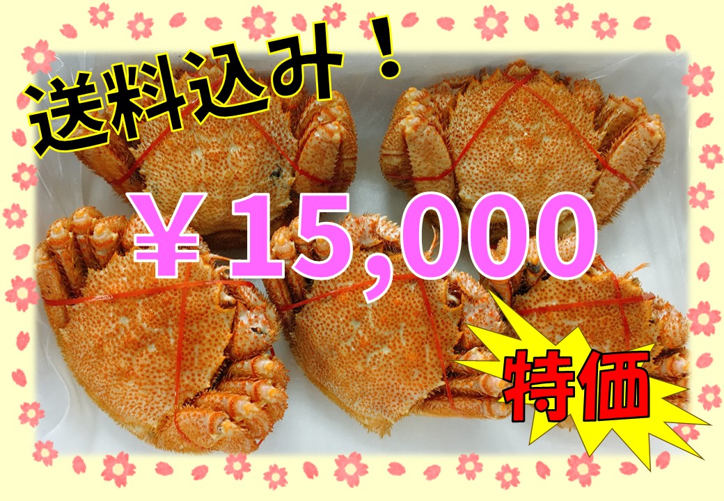 【冷凍】足もげ！お徳用！毛ガニ姿 ２ｋｇセット（５尾前後入っています）※送料無料！！