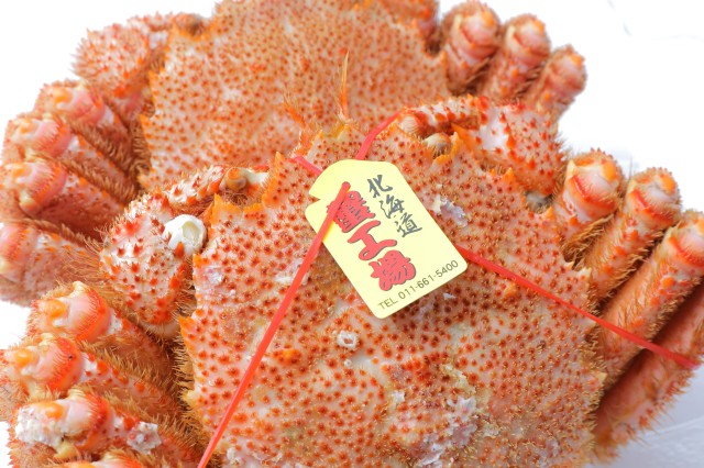 【冷凍】毛ガニ姿 約4００ｇ前後×1尾