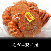 【冷凍】毛ガニ姿 ５００ｇ前後×1尾