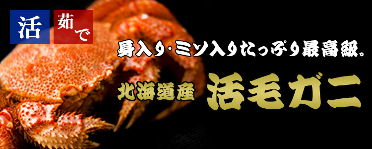 蟹工場様確認用 蟹工場様確認用