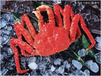 本タラバかに姿茹で