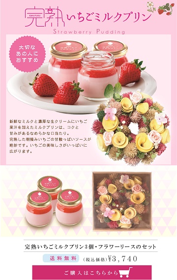 完熟いちご,ホワイトデー,ギフト,プリン