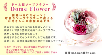 母の日,いちごスイーツ,ギフト