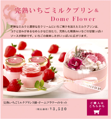 母の日,いちごスイーツ,ギフト,プリン