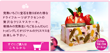 完熟いちご菓子研究所、クリスマス、ビジュー・ド・ノエル