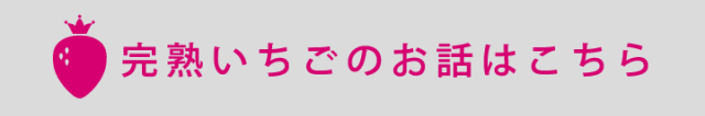 完熟いちごbtn