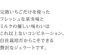 完熟いちごジェラートtit7