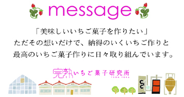 完熟いちご菓子研究所,いちご,スイーツ