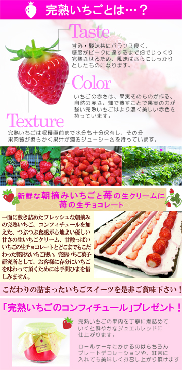 朝摘みいちご,完熟いちご,生チョコロール,いちごロール,バレンタイン