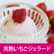 完熟いちごジェラート