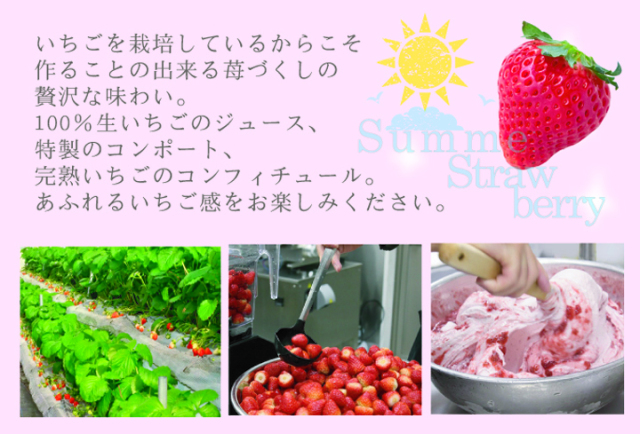 完熟いちご,お試しセット,送料無料,完熟いちご菓子研究所
