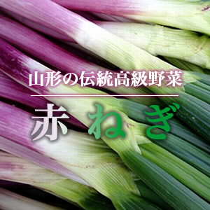 赤ネギ