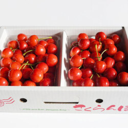 紅秀峰（特秀品）の商品画像